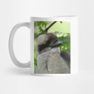 Kookaburra Mug